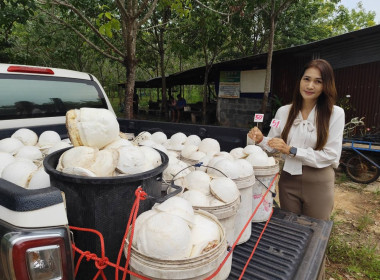 ติดตามการดำเนินธุรกิจรวบรวมยางพารากลุ่มเกษตรกรทำสวนยางตำบลไร่สีสุก ... พารามิเตอร์รูปภาพ 4